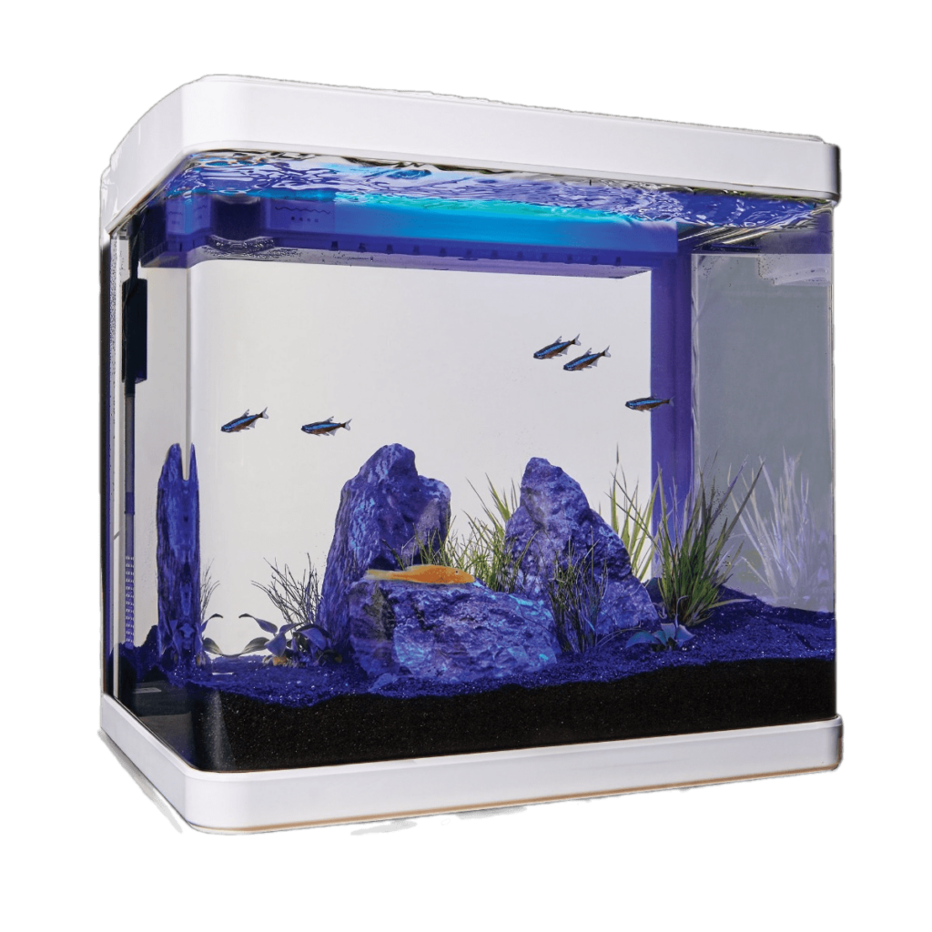 Перевозка аквариума - достависта