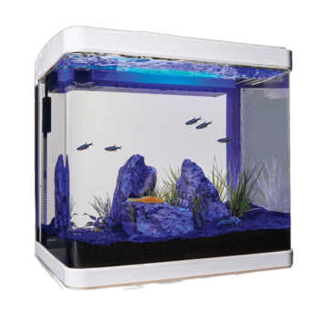 Перевозка аквариума - достависта