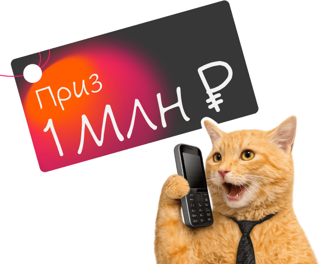 баннер и кот - Достависта розыгрыш - мобильная версия