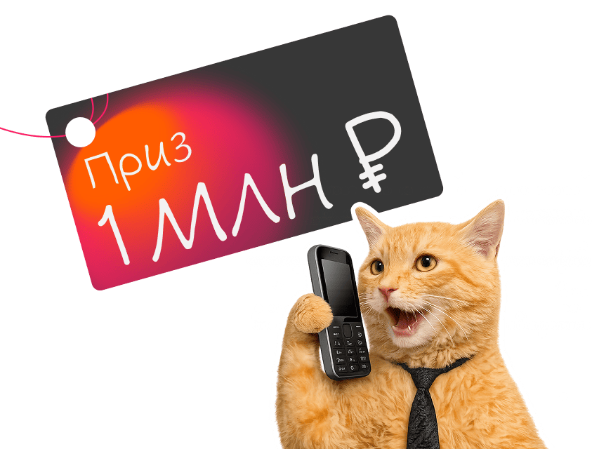баннер и кот - Достависта розыгрыш - планшет